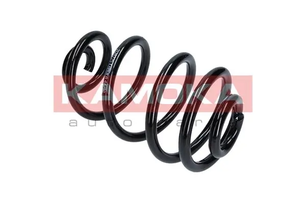 Suspension Spring 2120225