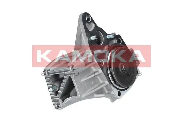Water Pump, engine cooling T0239