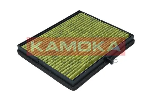 Filter, cabin air 6080120