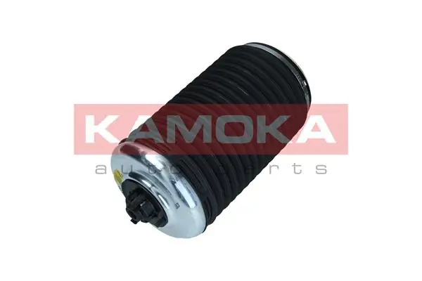Air Spring, suspension 2079003