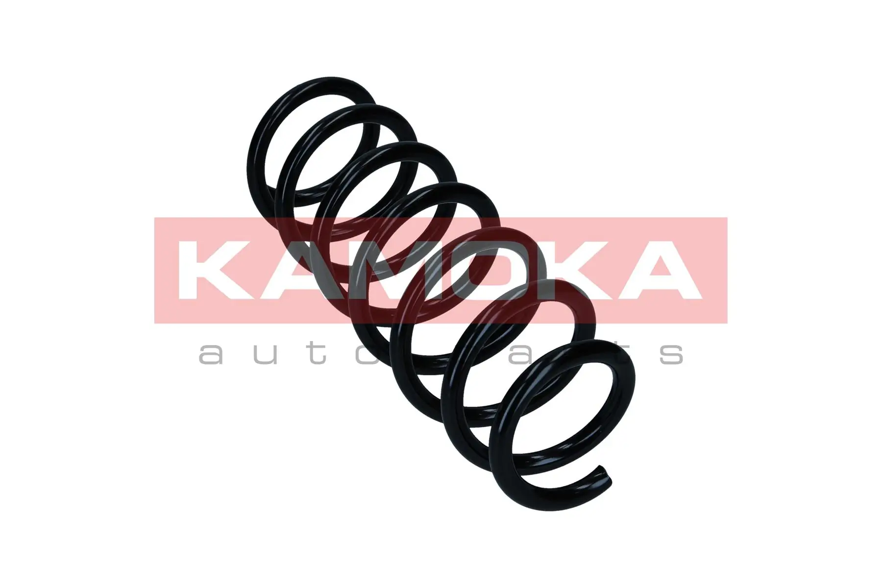 Suspension Spring 2110263