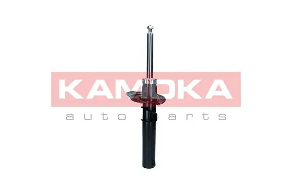 Shock Absorber 2001189