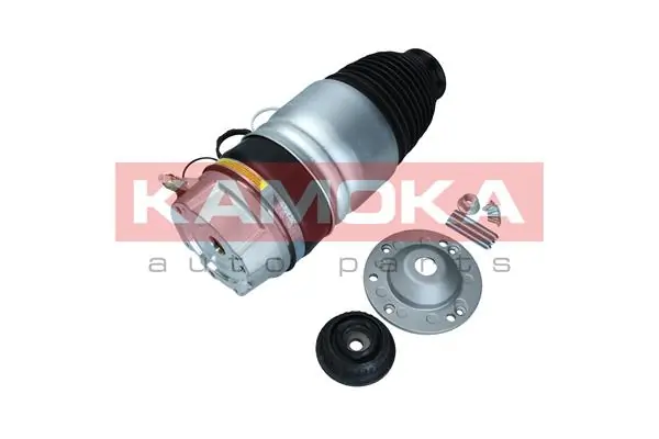 Air Spring, suspension 2079059