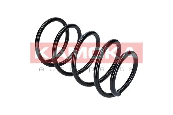 Suspension Spring 2110257