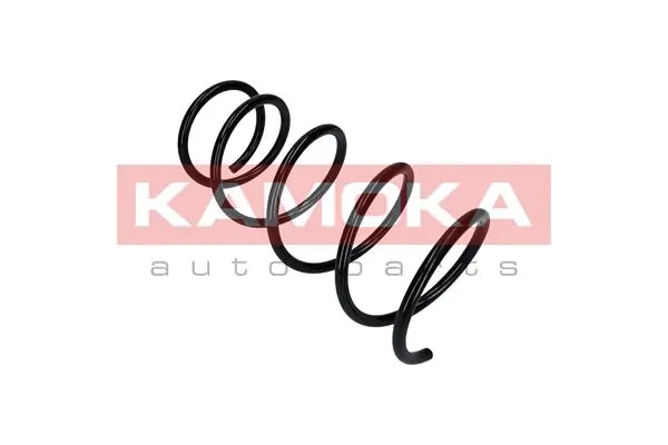 Suspension Spring 2110322