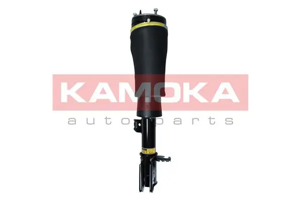 Air Suspension Strut 2070020