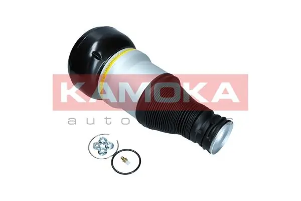 Air Spring, suspension 2079057