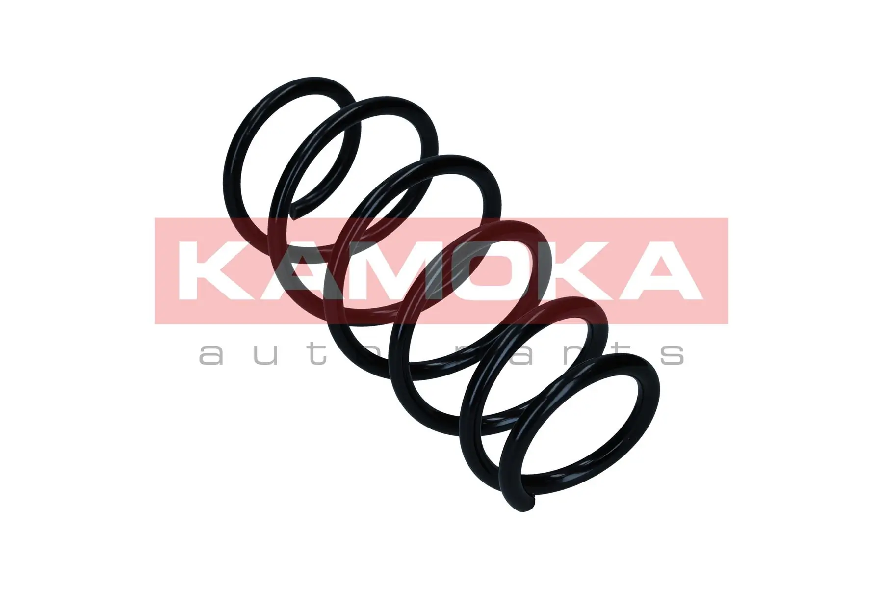 Suspension Spring 2110668