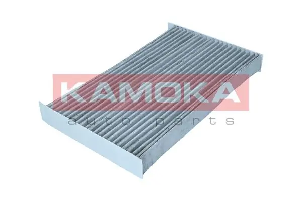 Filter, cabin air F513701