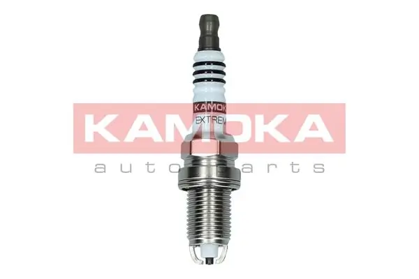 Spark Plug 7100503