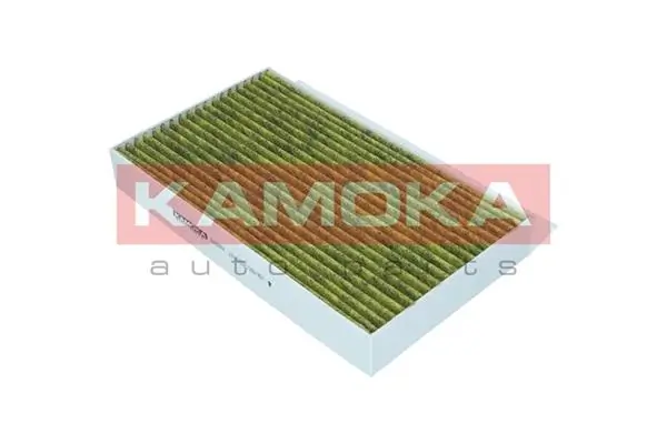 Filter, cabin air 6080064