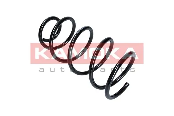 Suspension Spring 2110169