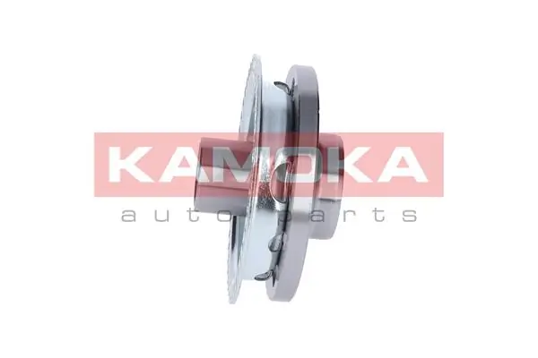 Wheel Hub 5500116