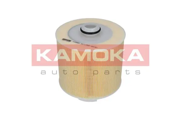 Air Filter F236801