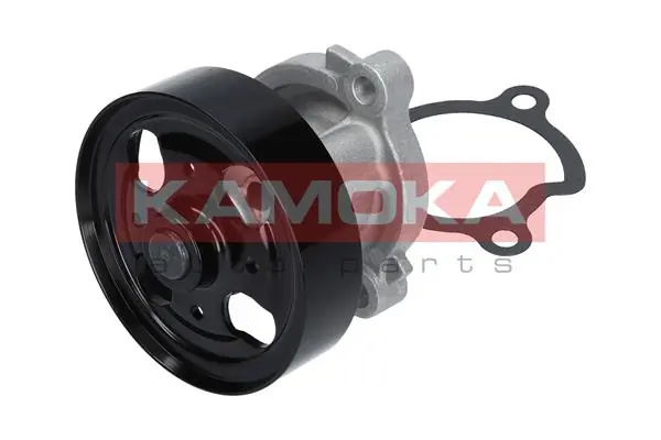 Water Pump, engine cooling T0221