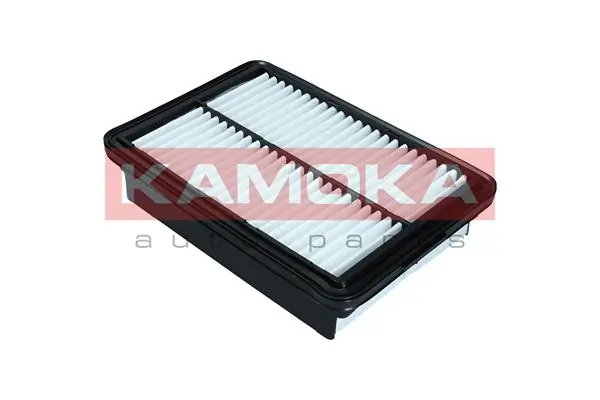 Air Filter F252001
