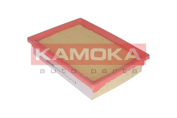Air Filter F237301