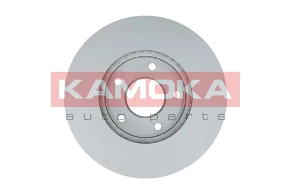Brake Disc 1032498
