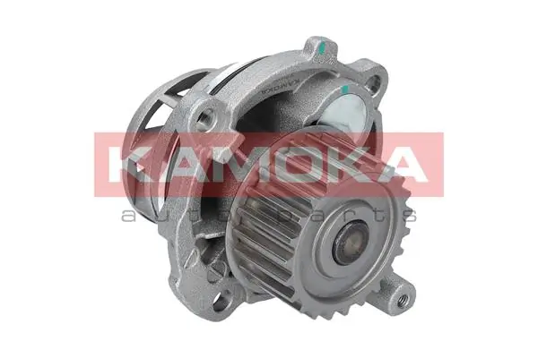 Water Pump, engine cooling T0028