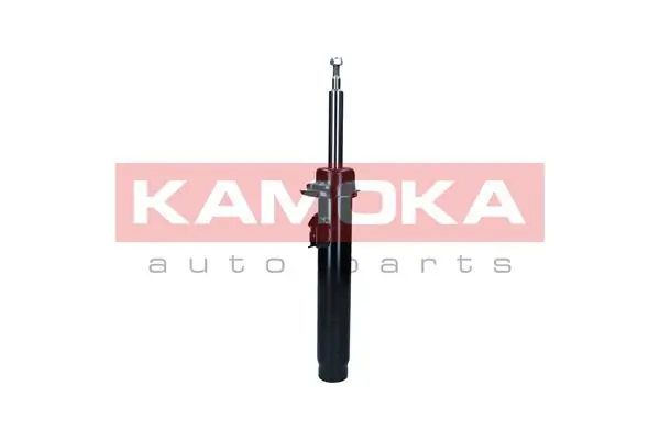 Shock Absorber 2001143