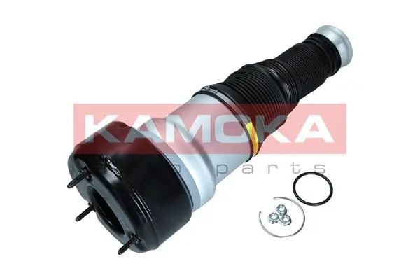 Air Spring, suspension 2079038