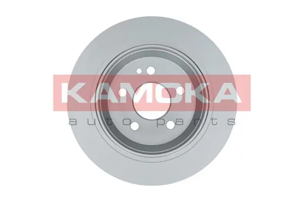 Brake Disc 1032468