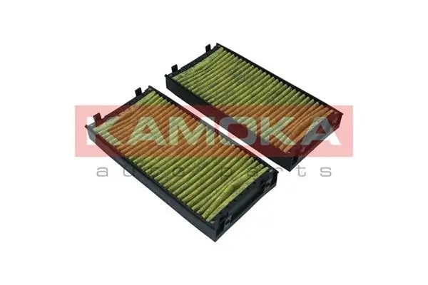 Filter, cabin air 6080061