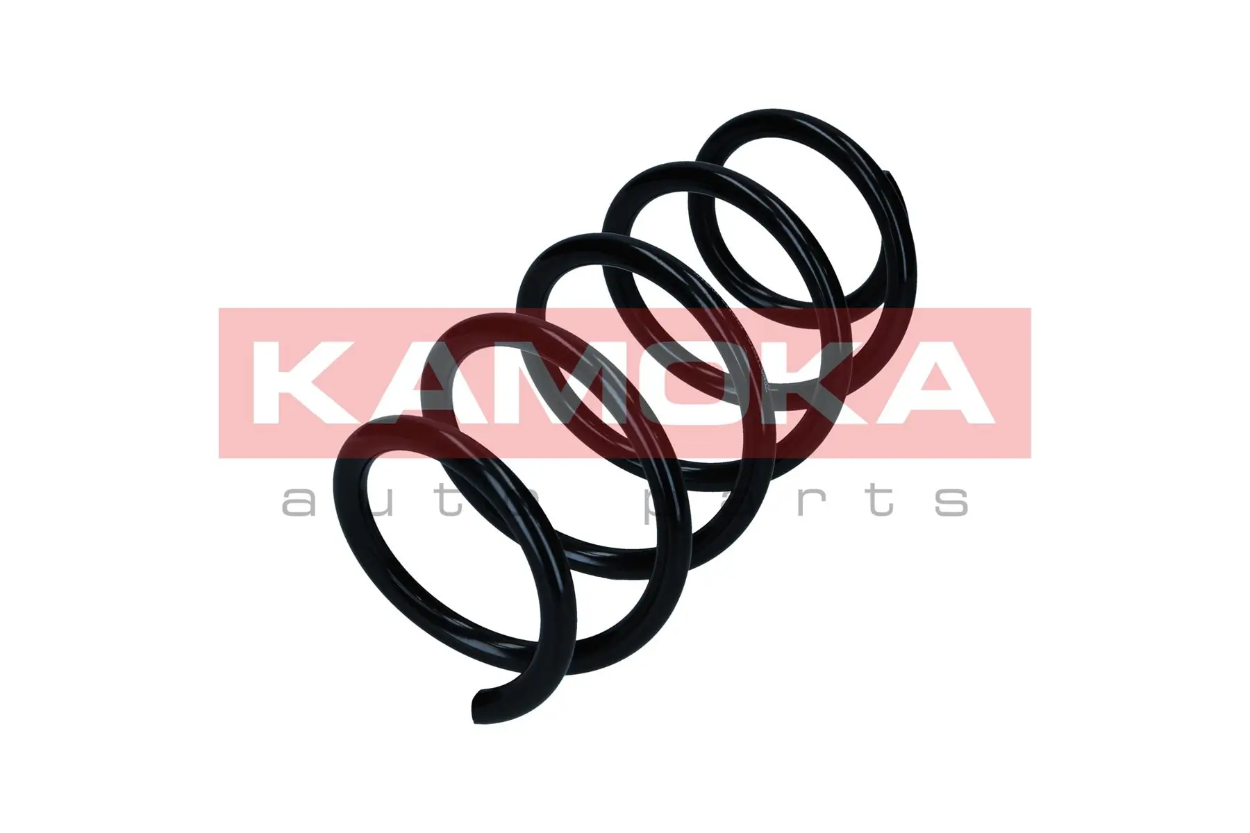 Suspension Spring 2120003