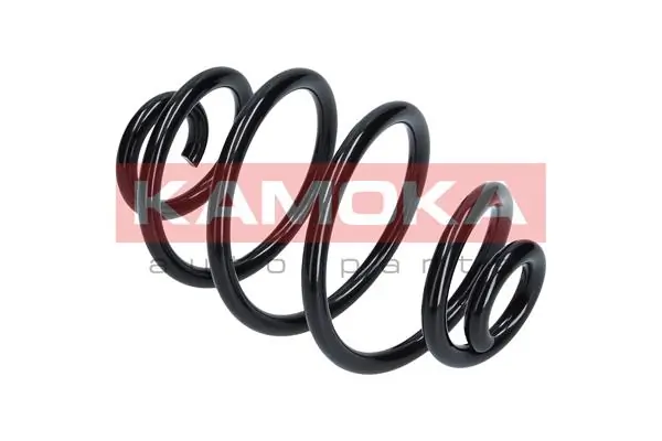 Suspension Spring 2120188