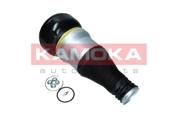 Air Spring, suspension 2079058