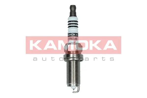 Spark Plug 7100061