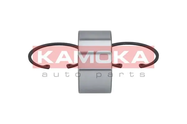 Wheel Bearing Kit 5500380