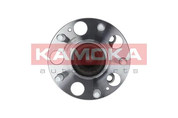 Wheel Bearing Kit 5500096