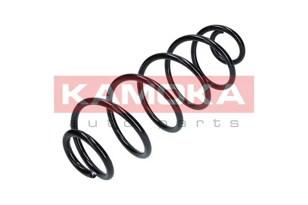 Suspension Spring 2120188