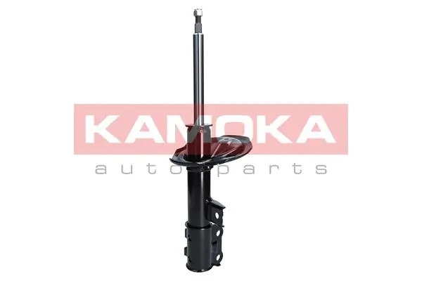 Shock Absorber 2000067