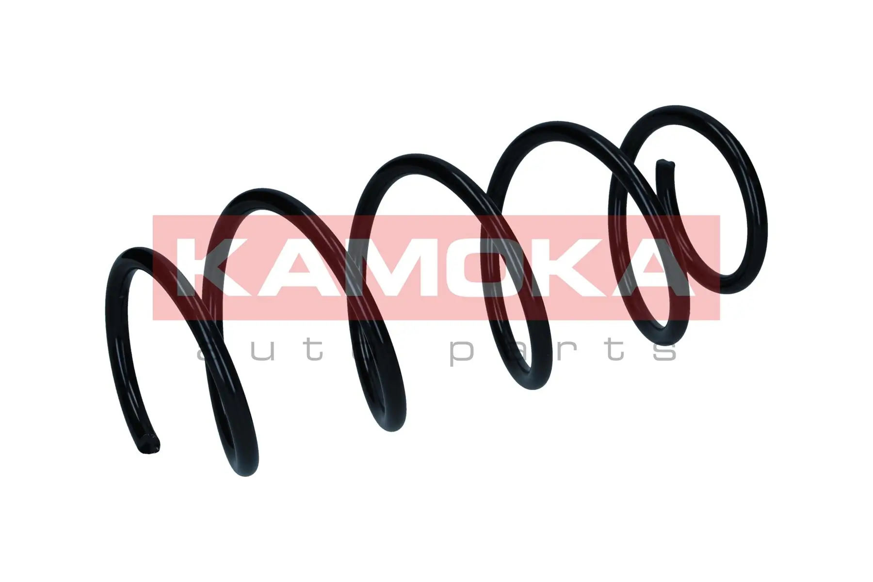 Suspension Spring 2110572