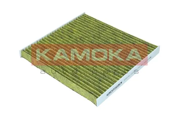 Filter, cabin air 6080156