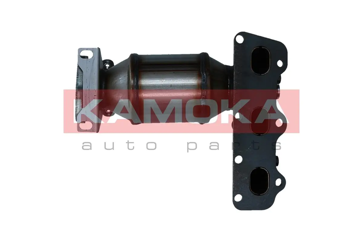 Catalytic Converter 8015064