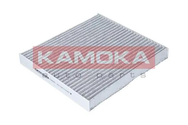 Filter, cabin air F505401