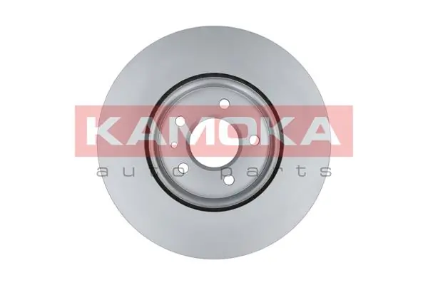 Brake Disc 103311