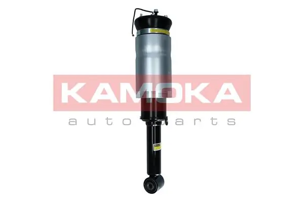 Air Suspension Strut 2070024