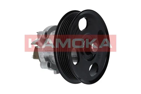 Water Pump, engine cooling T0014