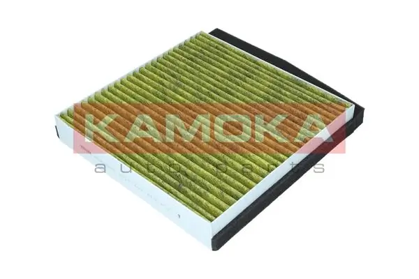 Filter, cabin air 6080096
