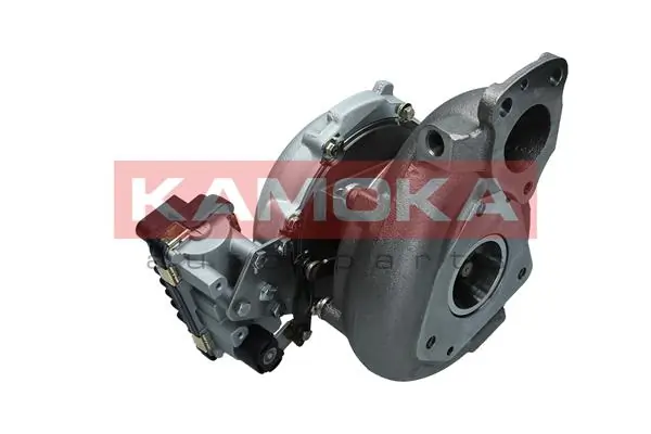 Charger, charging (supercharged/turbocharged) 8600047