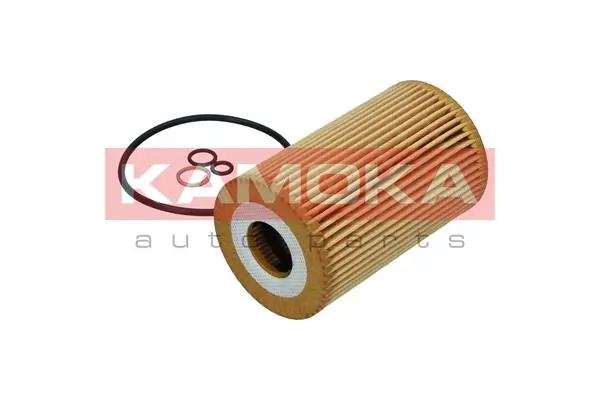 Oil Filter F121701