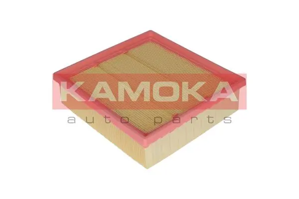 Air Filter F222001
