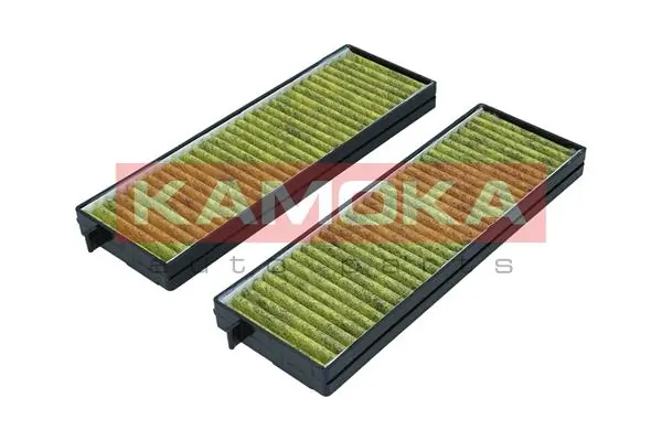 Filter, cabin air 6080132
