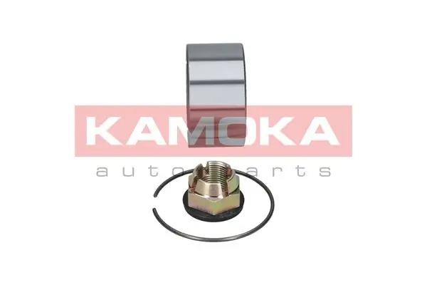 Wheel Bearing Kit 5500331
