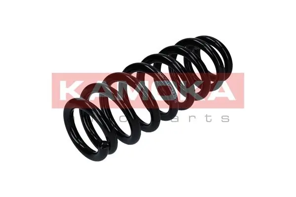 Suspension Spring 2120255