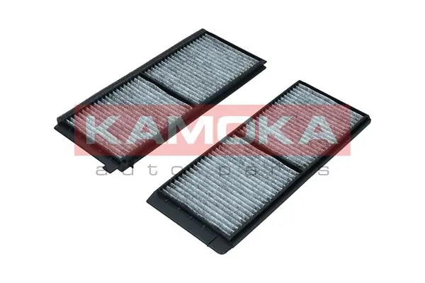Filter, cabin air F518001